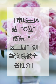 市场主体站“C位” 衡东“一区三园”创新实践被全省推介
