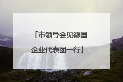市领导会见德国企业代表团一行