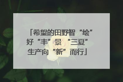 希望的田野智“绘”好“丰”景 “三夏”生产向“新”而行