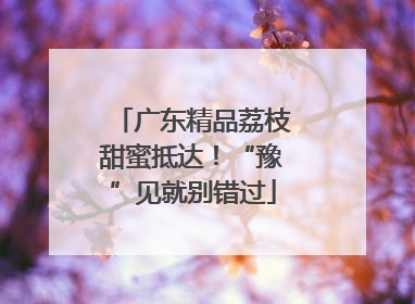 广东精品荔枝甜蜜抵达！“豫”见就别错过
