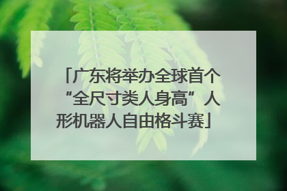 广东将举办全球首个“全尺寸类人身高”人形机器人自由格斗赛