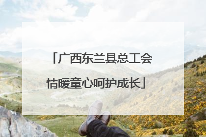 广西东兰县总工会情暖童心呵护成长