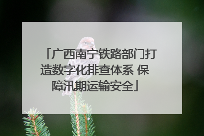 广西南宁铁路部门打造数字化排查体系 保障汛期运输安全