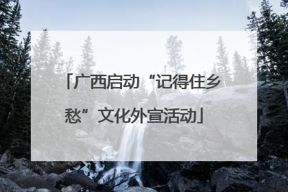 广西启动“记得住乡愁”文化外宣活动