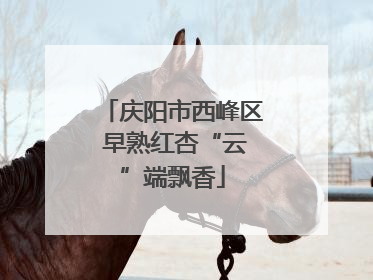 庆阳市西峰区 早熟红杏“云”端飘香