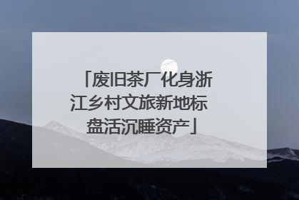 废旧茶厂化身浙江乡村文旅新地标 盘活沉睡资产