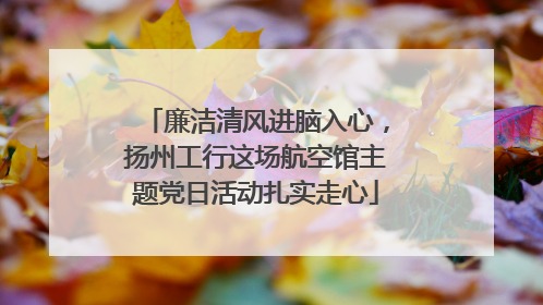 廉洁清风进脑入心，扬州工行这场航空馆主题党日活动扎实走心