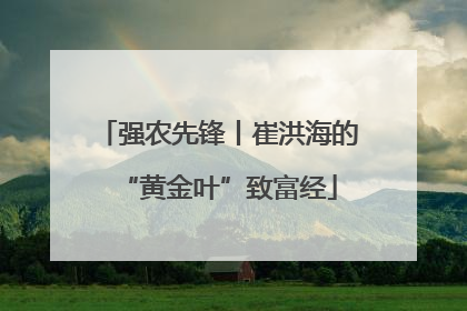 强农先锋丨崔洪海的“黄金叶”致富经