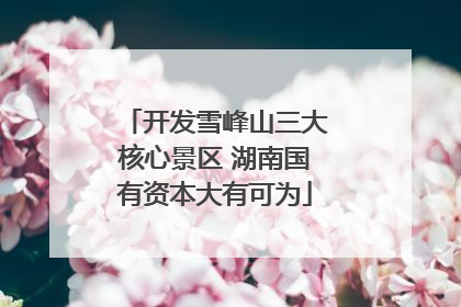 开发雪峰山三大核心景区 湖南国有资本大有可为