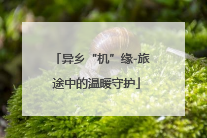 异乡“机”缘-旅途中的温暖守护