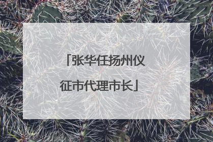 张华任扬州仪征市代理市长