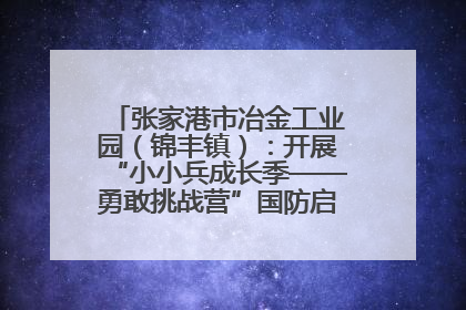 张家港市冶金工业园（锦丰镇）：开展“小小兵成长季——勇敢挑战营”国防启蒙教育活动