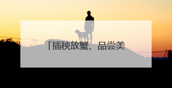 插秧放蟹、品尝美食！这个周末，吉报小记者有点忙