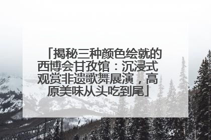 揭秘三种颜色绘就的西博会甘孜馆：沉浸式观赏非遗歌舞展演，高原美味从头吃到尾