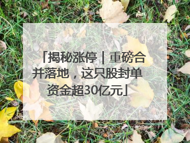 揭秘涨停｜重磅合并落地，这只股封单资金超30亿元
