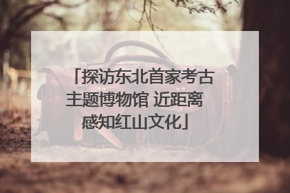 探访东北首家考古主题博物馆 近距离感知红山文化