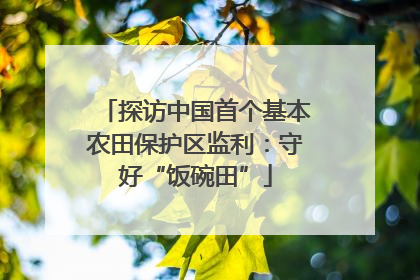 探访中国首个基本农田保护区监利：守好“饭碗田”