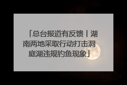 总台报道有反馈丨湖南两地采取行动打击洞庭湖违规钓鱼现象