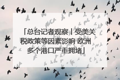 总台记者观察丨受美关税政策等因素影响 欧洲多个港口严重拥堵