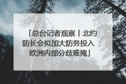 总台记者观察丨北约防长会拟加大防务投入 欧洲内部分歧难掩