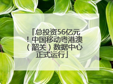总投资56亿元！中国移动粤港澳（韶关）数据中心正式运行