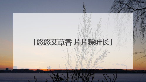 悠悠艾草香 片片粽叶长