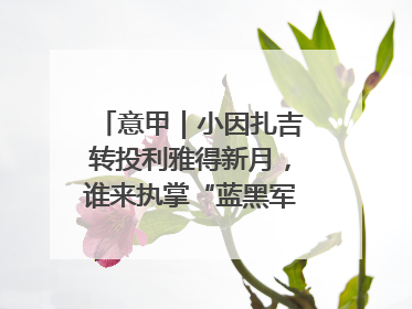 意甲｜小因扎吉转投利雅得新月，谁来执掌“蓝黑军团”帅印？