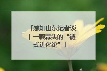 感知山东记者谈｜一颗蒜头的“链式进化论”