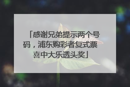 感谢兄弟提示两个号码，浦东购彩者复式票喜中大乐透头奖