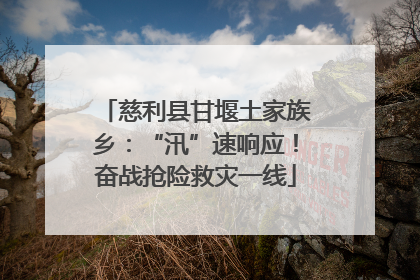 慈利县甘堰土家族乡：“汛”速响应！奋战抢险救灾一线