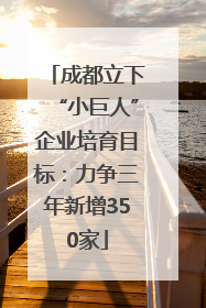 成都立下“小巨人”企业培育目标：力争三年新增350家