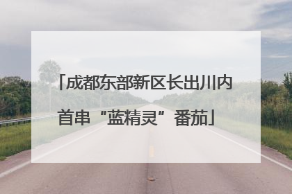 成都东部新区长出川内首串“蓝精灵”番茄