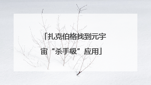 扎克伯格找到元宇宙“杀手级”应用