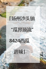 扬州沙头镇“瓜界顶流”8424西瓜进城