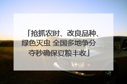 抢抓农时、改良品种、绿色灭虫 全国多地争分夺秒确保夏粮丰收