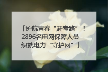 护航青春“赶考路”！2896名电网保障人员织就电力“守护网”