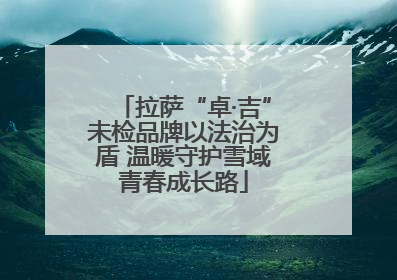 拉萨“卓·吉”未检品牌以法治为盾 温暖守护雪域青春成长路