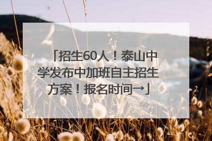招生60人！泰山中学发布中加班自主招生方案！报名时间→