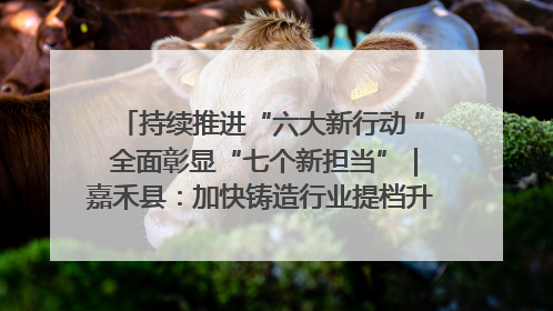 持续推进“六大新行动 ” 全面彰显“七个新担当”｜嘉禾县：加快铸造行业提档升级 助力绿色高质量发展