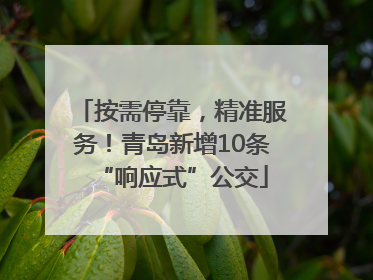 按需停靠，精准服务！青岛新增10条“响应式”公交