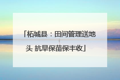 柘城县：田间管理送地头 抗旱保苗保丰收