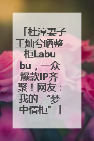 杜淳妻子王灿兮晒整柜Labubu，一众爆款IP齐聚！网友：我的 “梦中情柜”