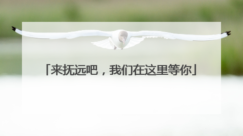 来抚远吧，我们在这里等你