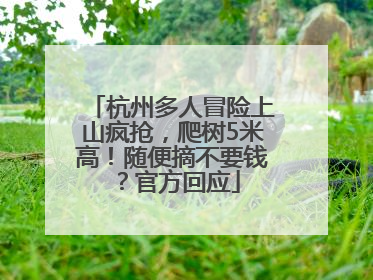 杭州多人冒险上山疯抢，爬树5米高！随便摘不要钱？官方回应