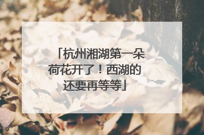 杭州湘湖第一朵荷花开了！西湖的还要再等等