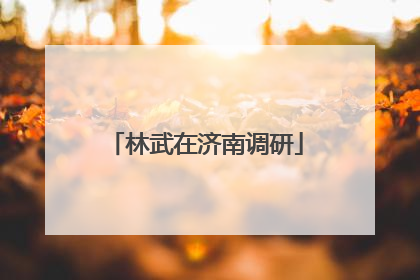 林武在济南调研