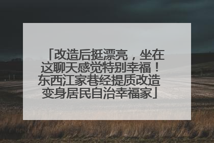 改造后挺漂亮，坐在这聊天感觉特别幸福！东西江家巷经提质改造变身居民自治幸福家