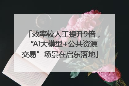 效率较人工提升9倍，“AI大模型+公共资源交易”场景在启东落地