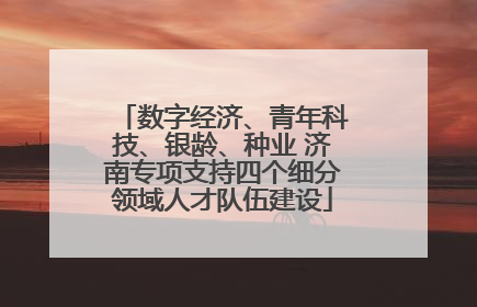 数字经济、青年科技、银龄、种业 济南专项支持四个细分领域人才队伍建设