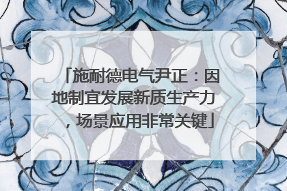 施耐德电气尹正：因地制宜发展新质生产力，场景应用非常关键